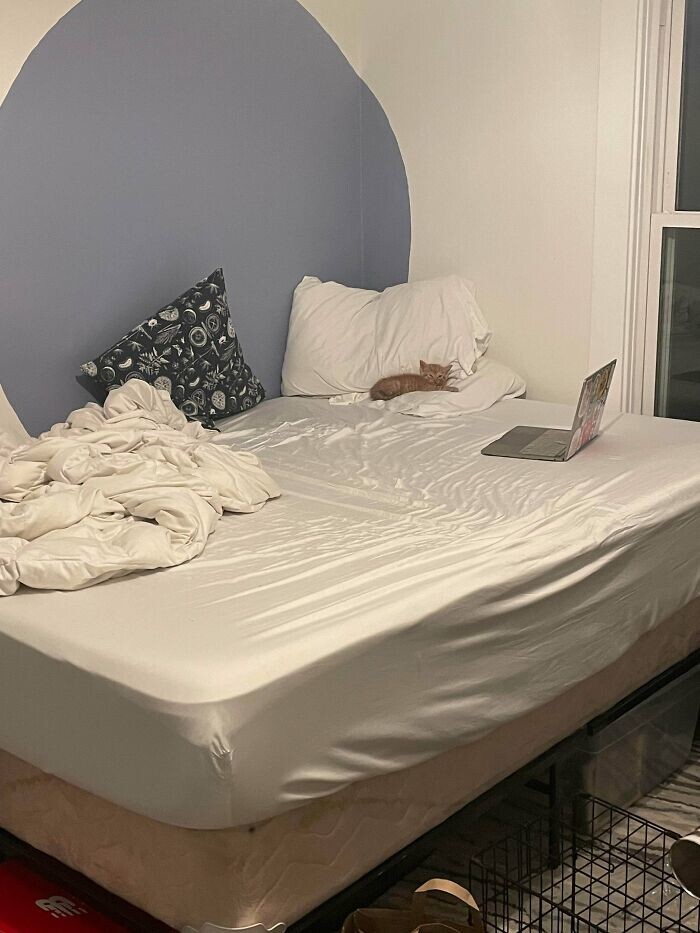 17. Хорошо устроился 