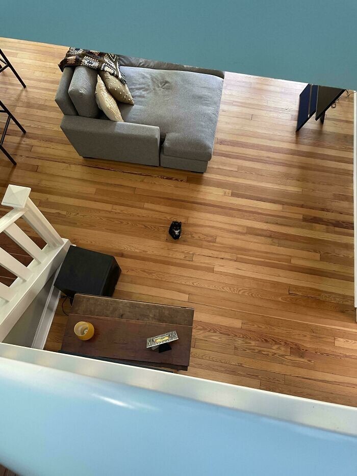 15. Кого я вижу, когда спускаюсь 