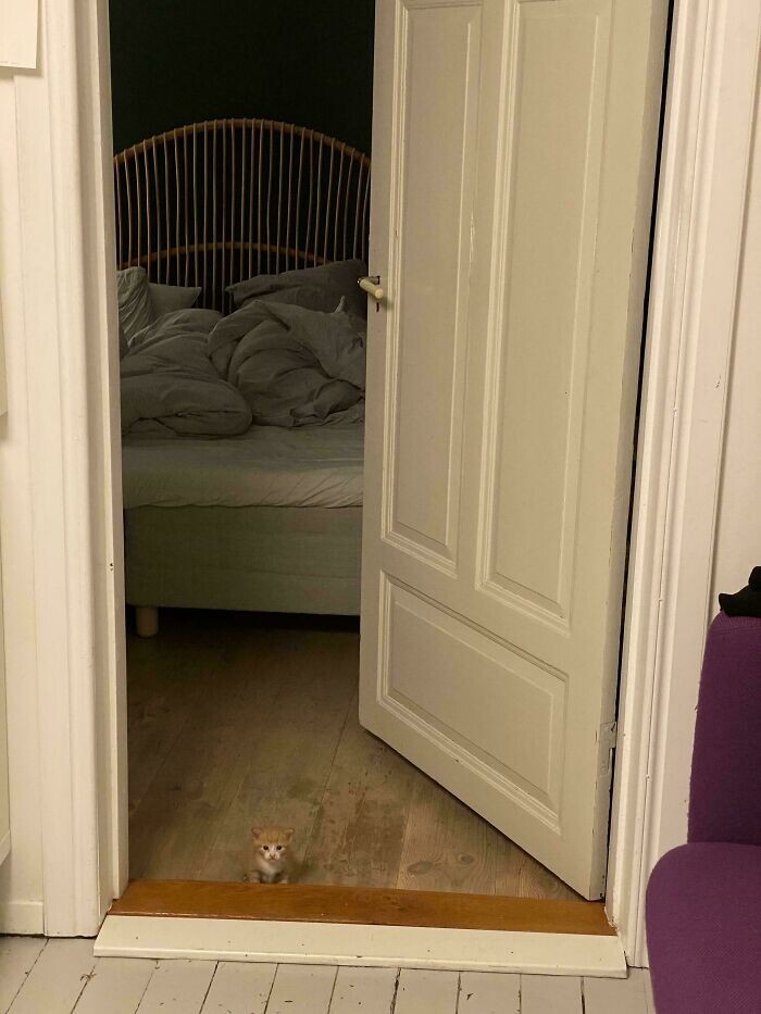 8. Сразу заметили?