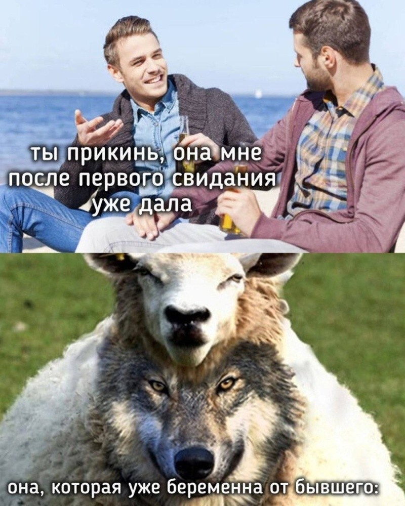 Не ищите здесь смысл. Здесь в основном маразм