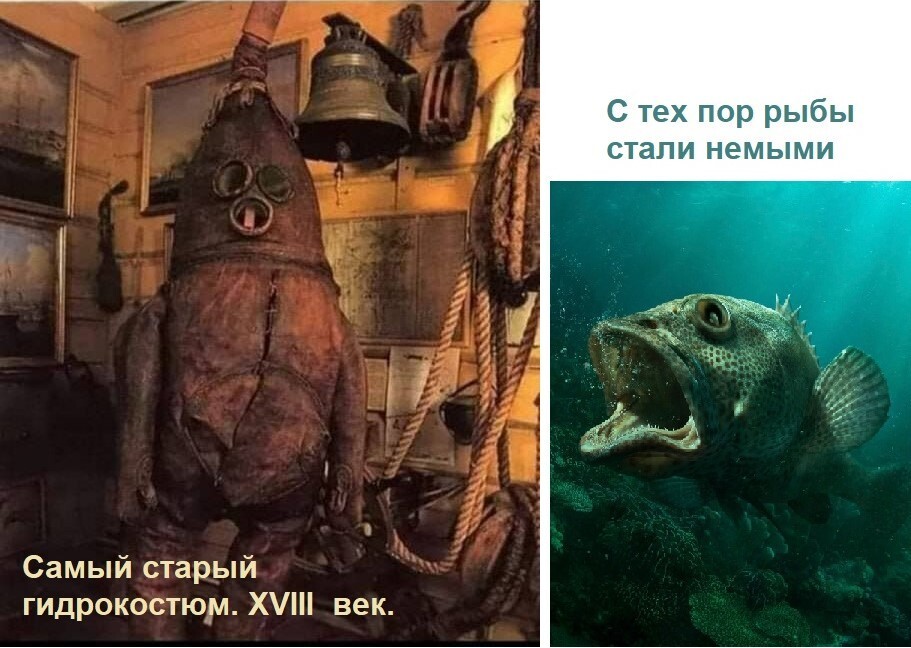 Весёлые картинки