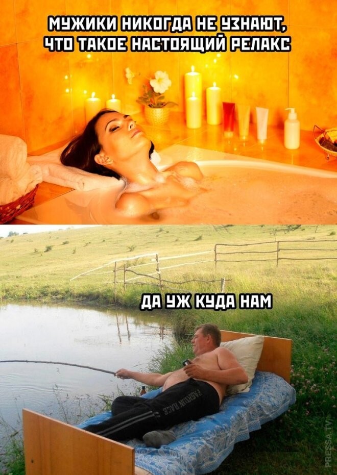 Весёлые картинки