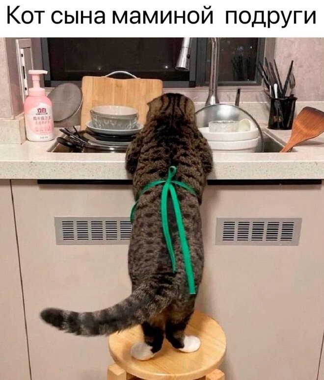 Весёлые картинки