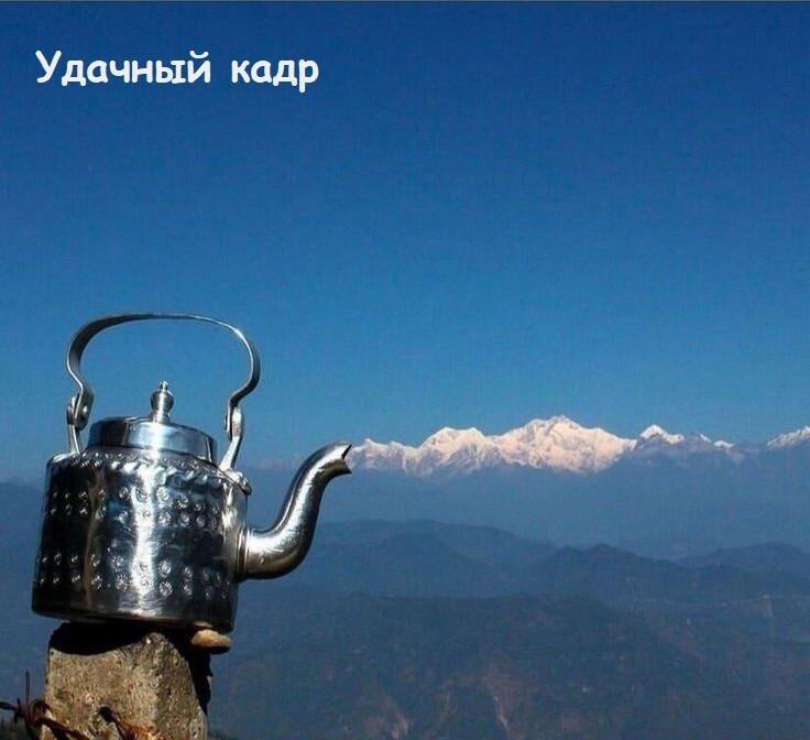 Весёлые картинки