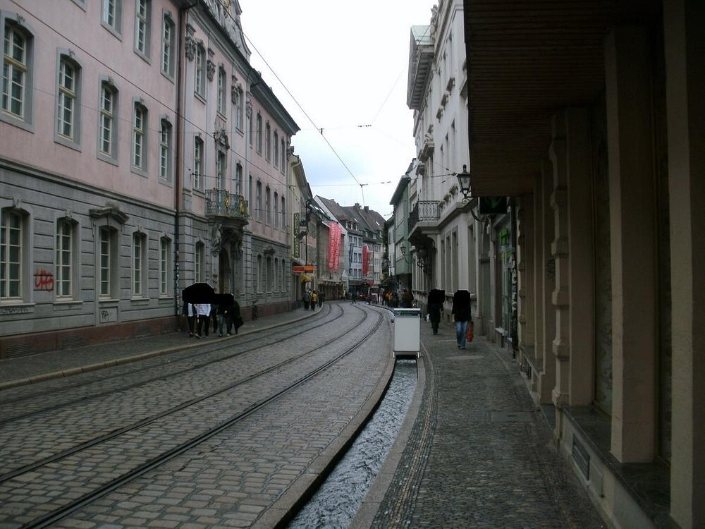 Бехле: от средневековой канализации до сердца Фрайбурга, где судьбу решает ручей