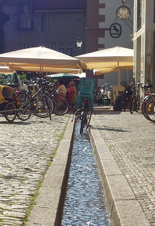 Бехле: от средневековой канализации до сердца Фрайбурга, где судьбу решает ручей