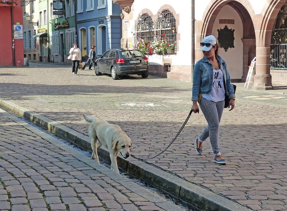 Бехле: от средневековой канализации до сердца Фрайбурга, где судьбу решает ручей