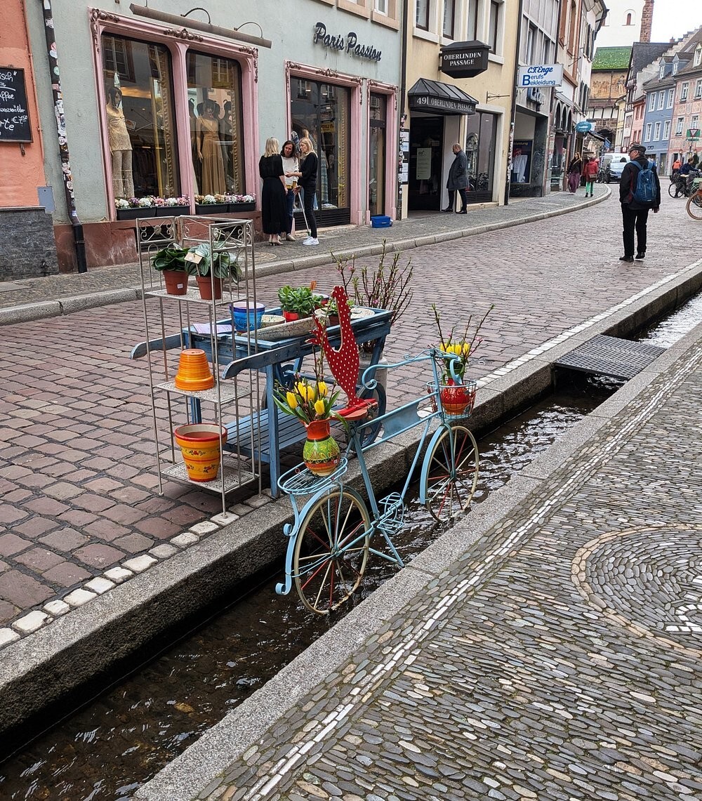 Бехле: от средневековой канализации до сердца Фрайбурга, где судьбу решает ручей
