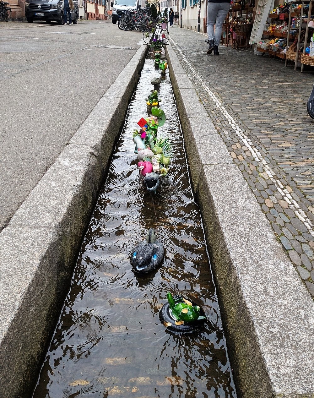 Бехле: от средневековой канализации до сердца Фрайбурга, где судьбу решает ручей