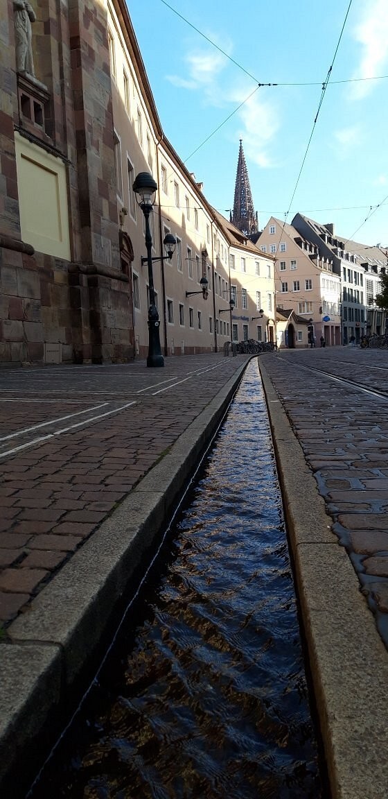 Бехле: от средневековой канализации до сердца Фрайбурга, где судьбу решает ручей