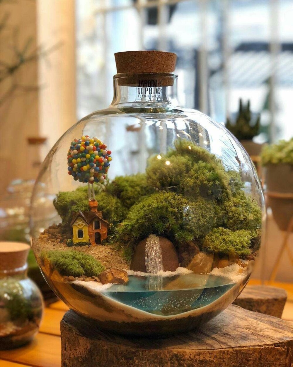 12. Чудеса рядом