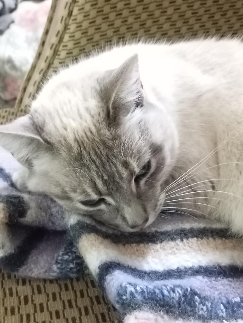 14. Летаю в облаках