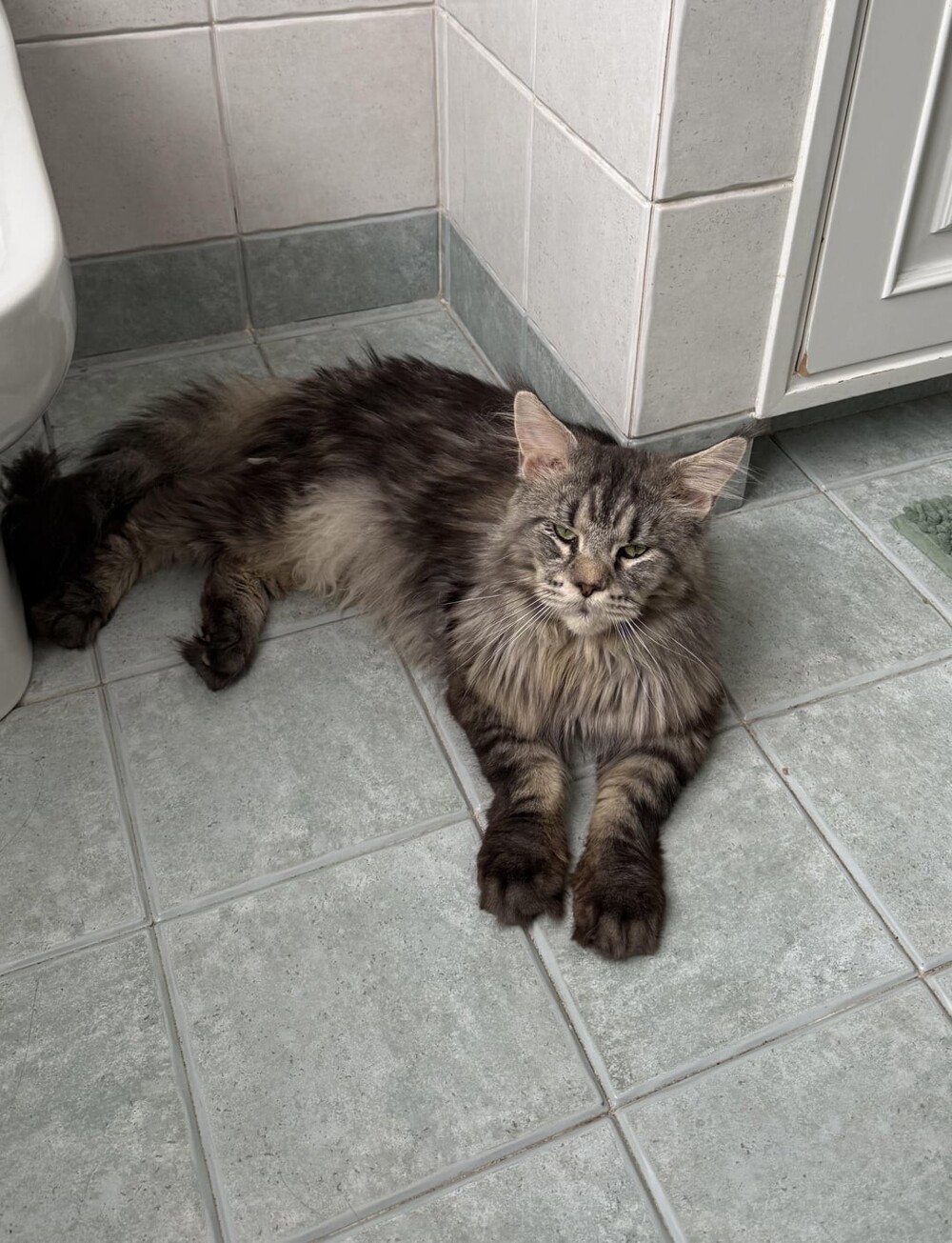 8. Когда ты ещё очень юн, но этот мир тебе абсолютно понятен