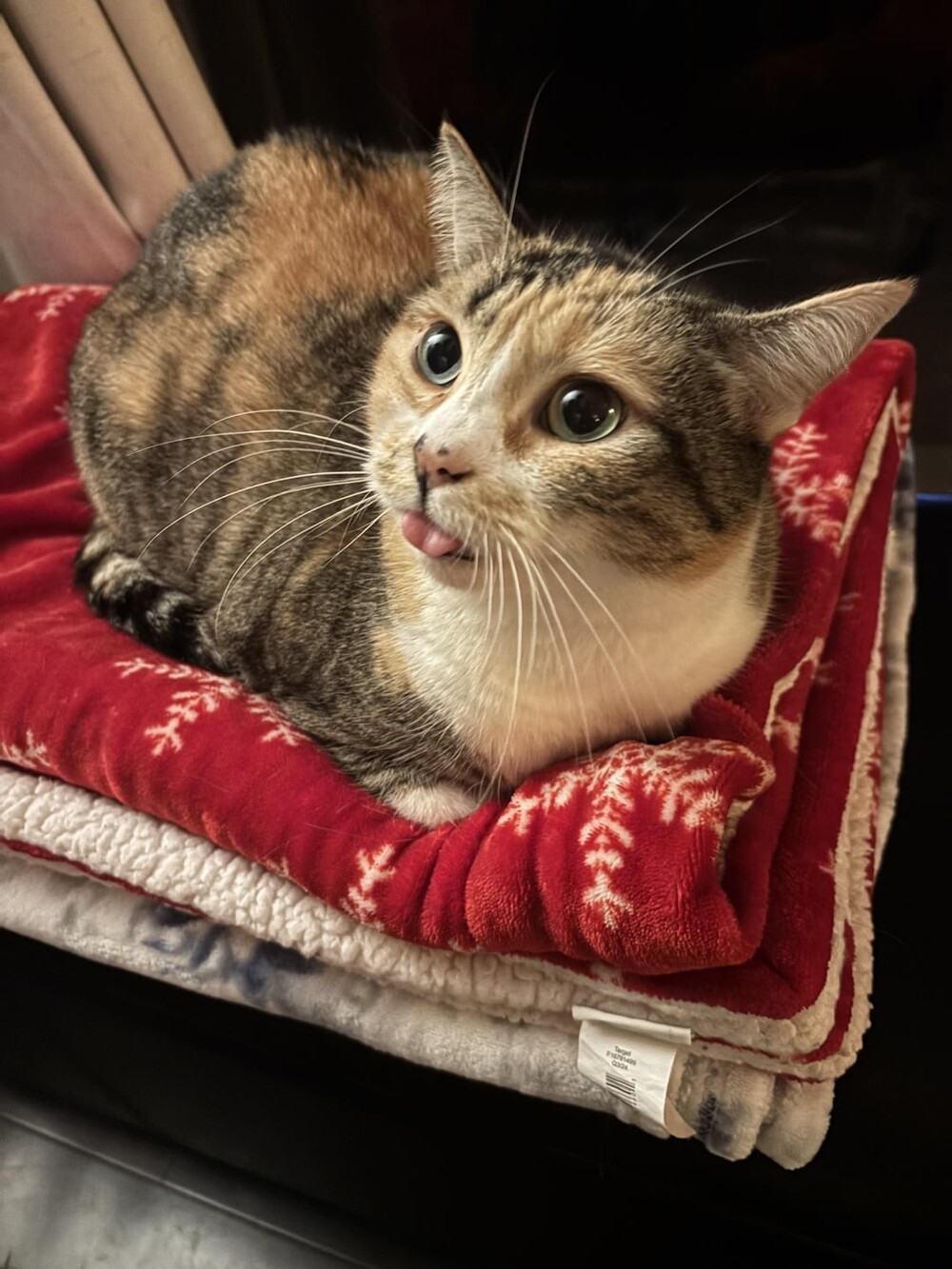 10. Задумалась, замечталась