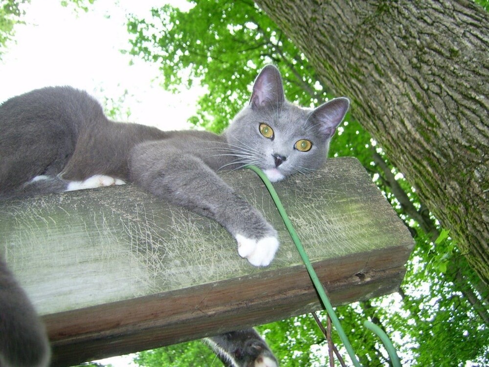 5. Философия бытия