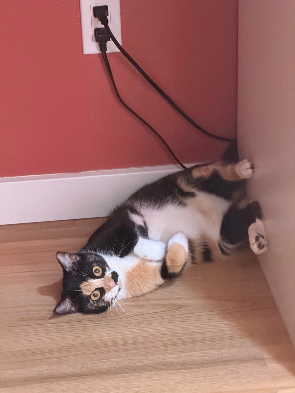 6. Тихое созерцание