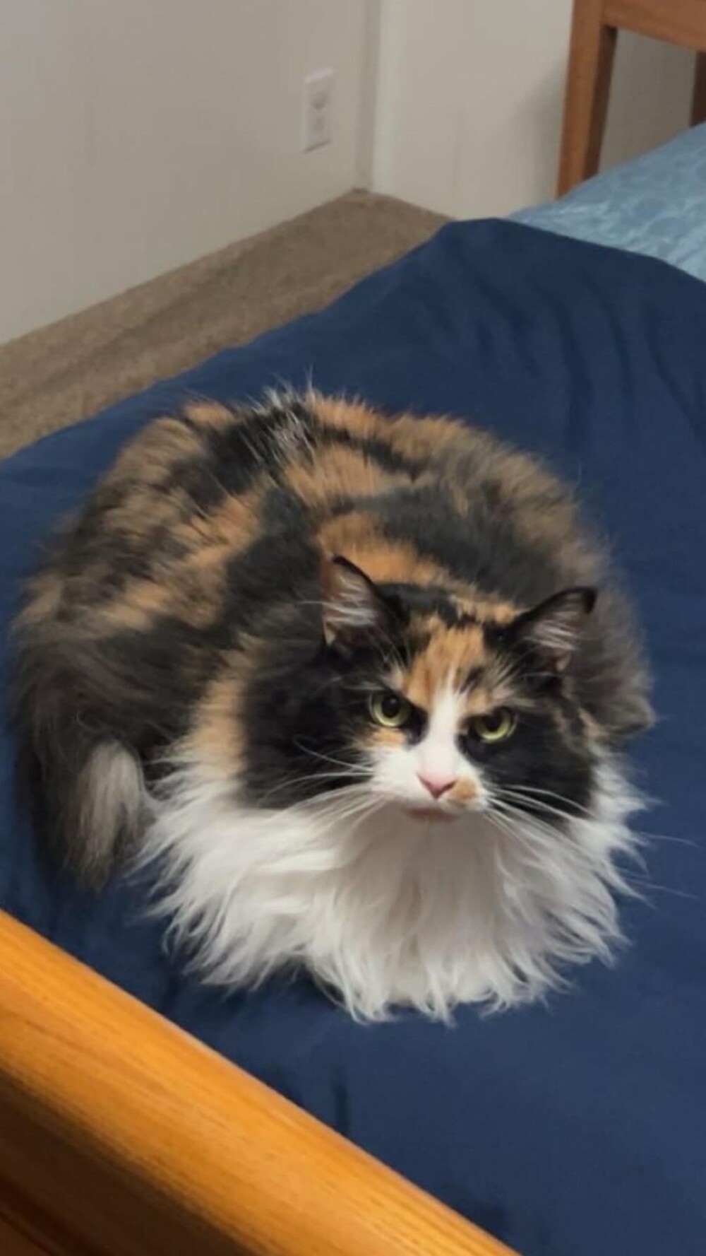 7. Когда не очень рад гостям