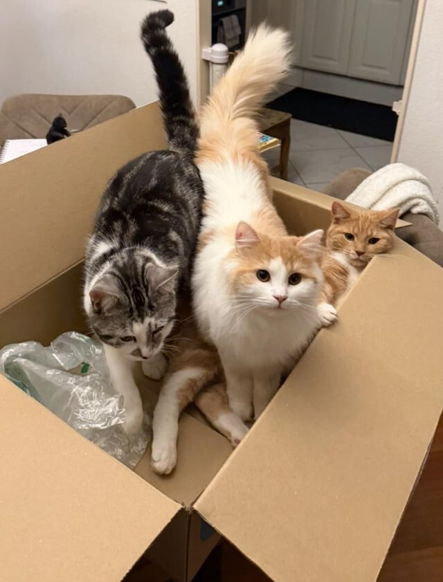 20. Дружба крепкая