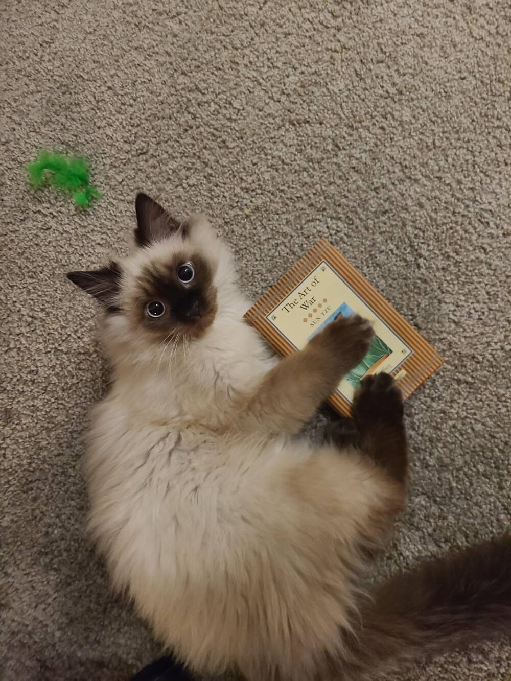 17. Знания - это сила