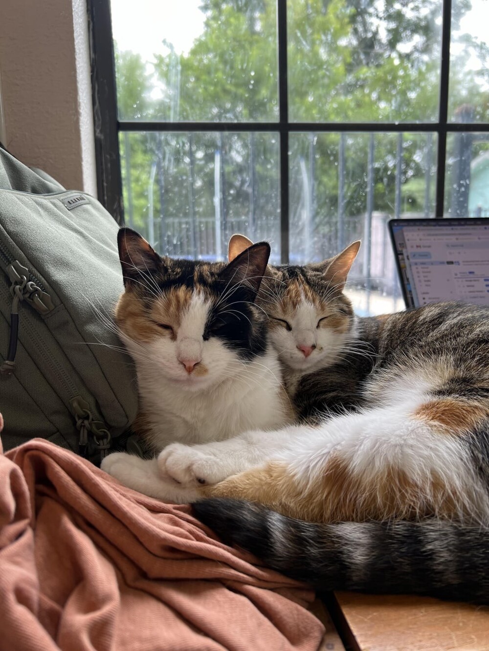 15. Один сон на двоих