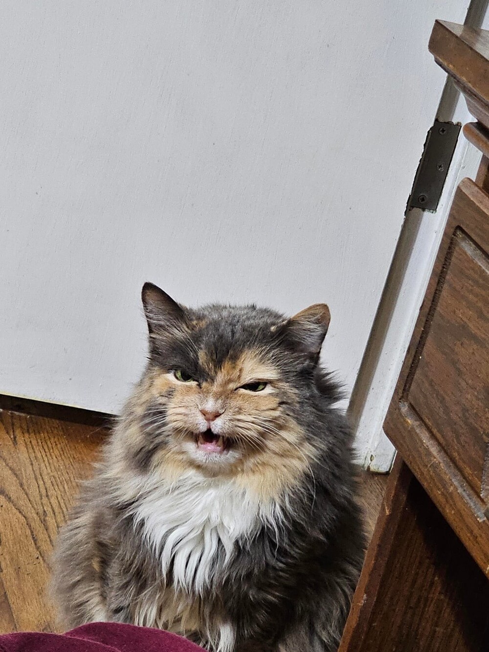 1. А напоследок я спою