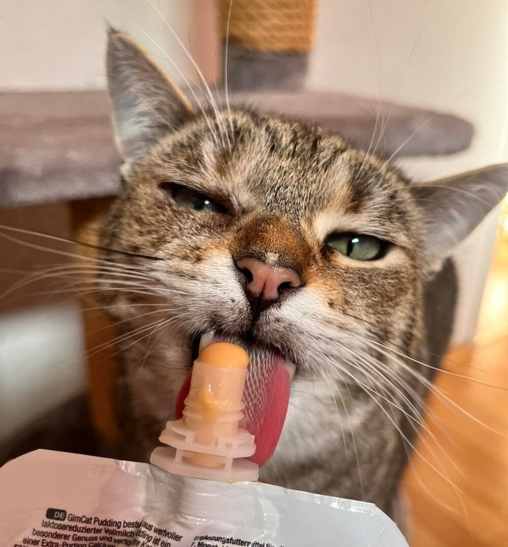 11. Эти волшебные шершавые шипы