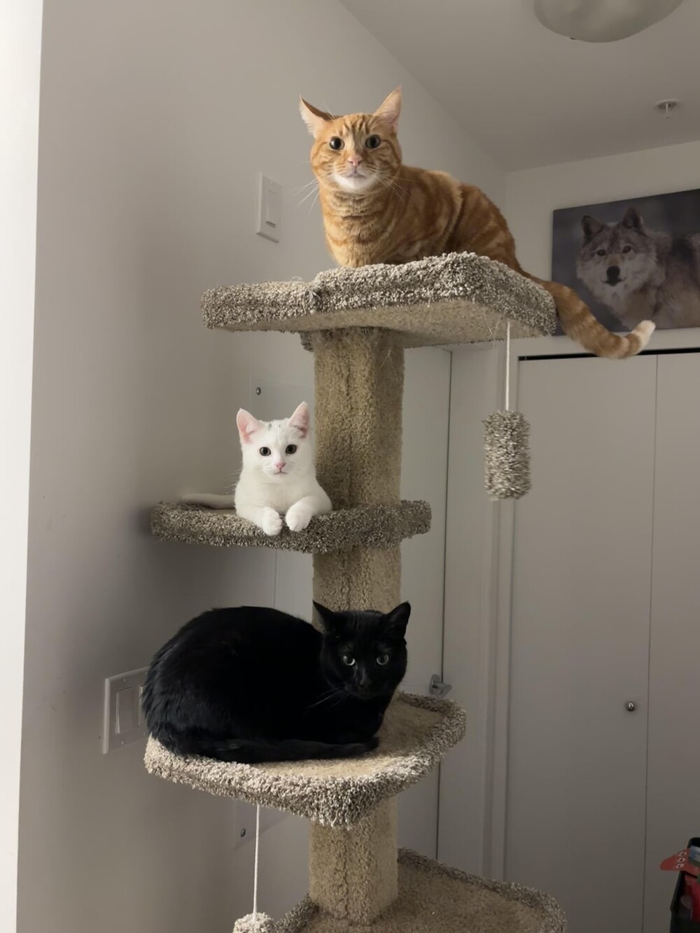 9. Краски нашего дома