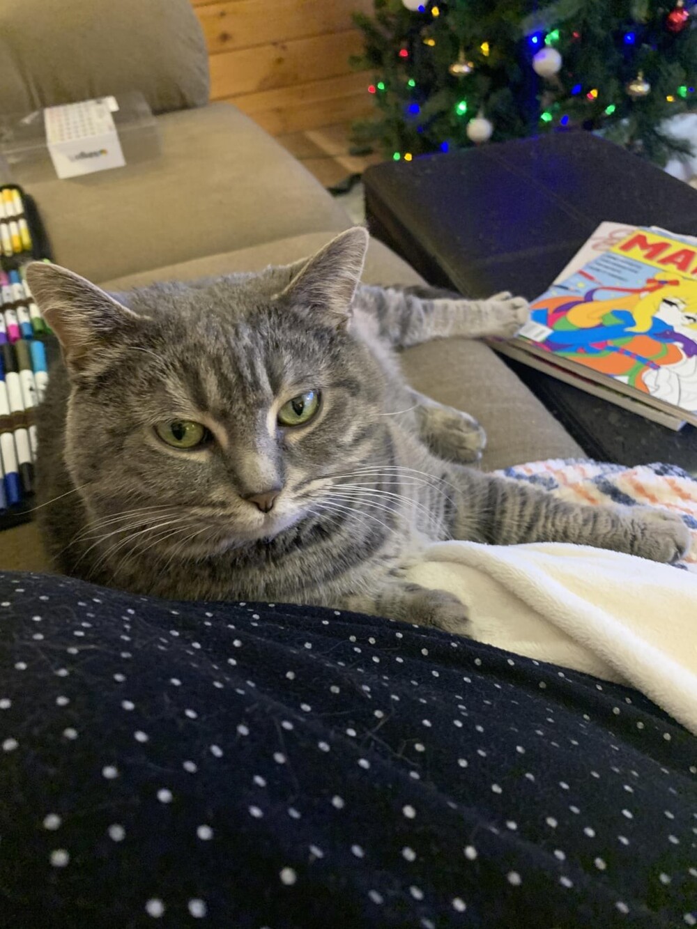 3. Не суетись: всё будет так, как должно быть