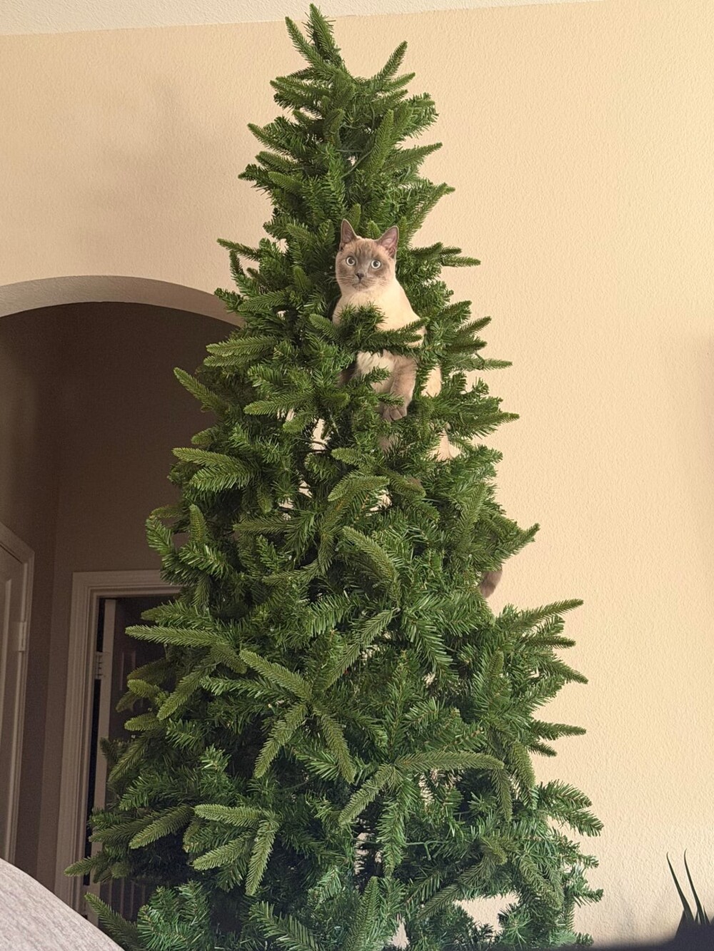 4. С началом сезона, дорогие мои!