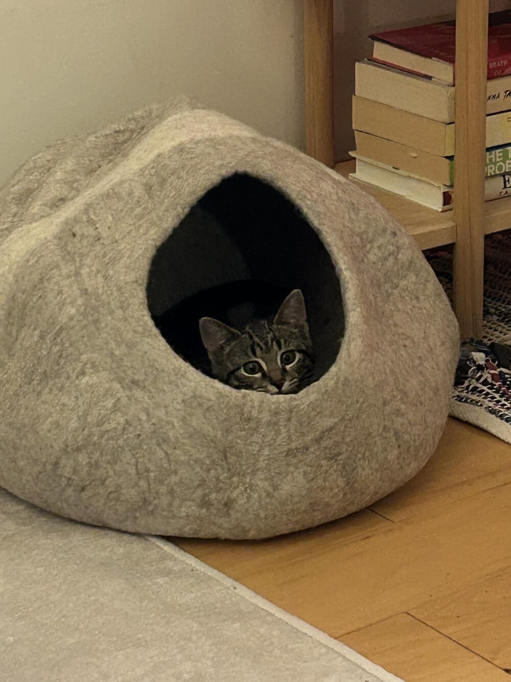 16. Скромное счастье