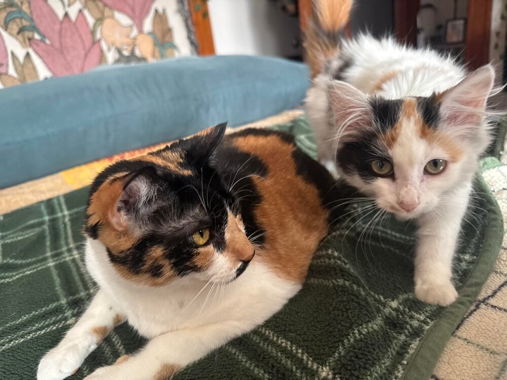 2. Направляюсь делать кусь