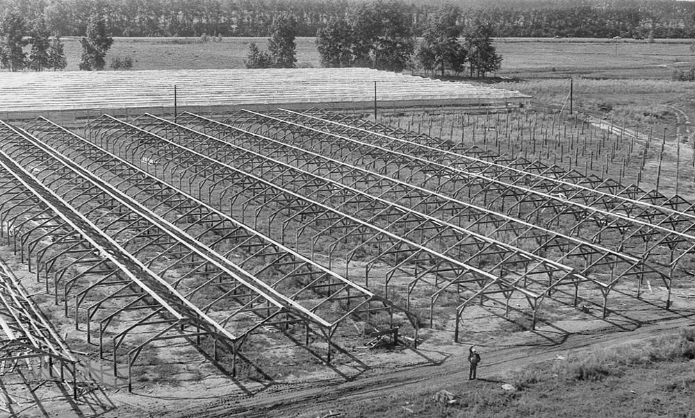 «Здесь будут теплицы».