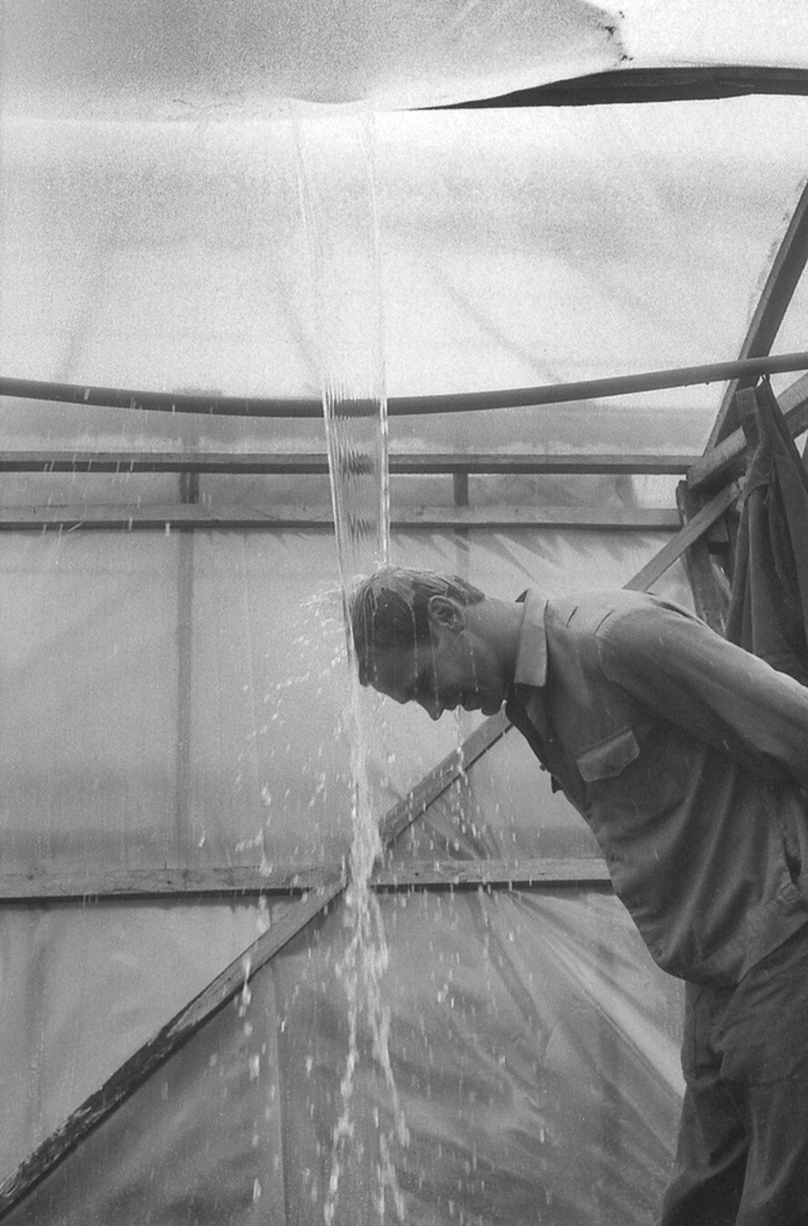 «Помыть голову в тепличных условиях».