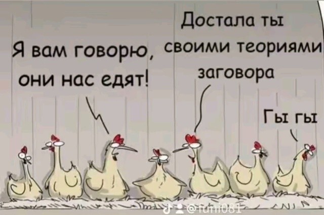 Большая тарелка позитива