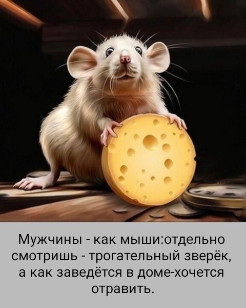 Большая тарелка позитива