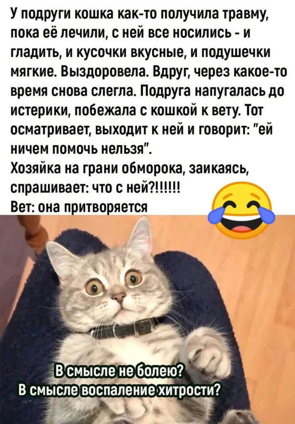 Большая тарелка позитива