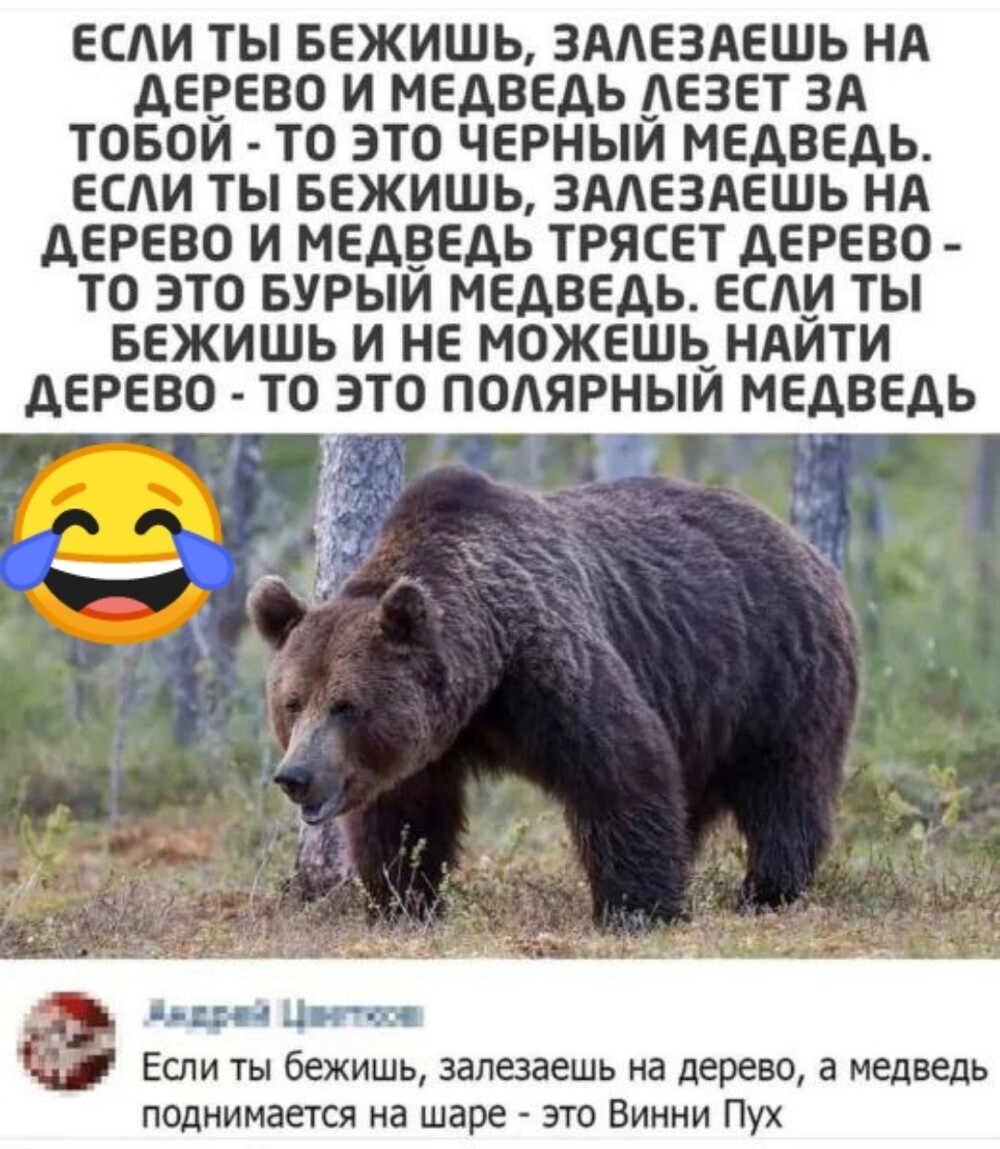 Большая тарелка позитива