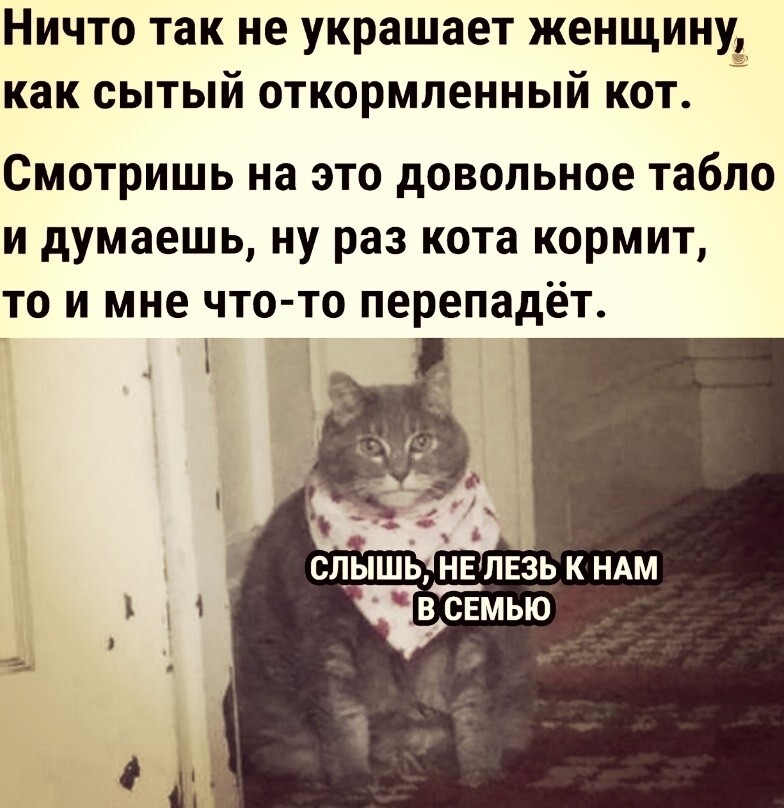 Большая тарелка позитива