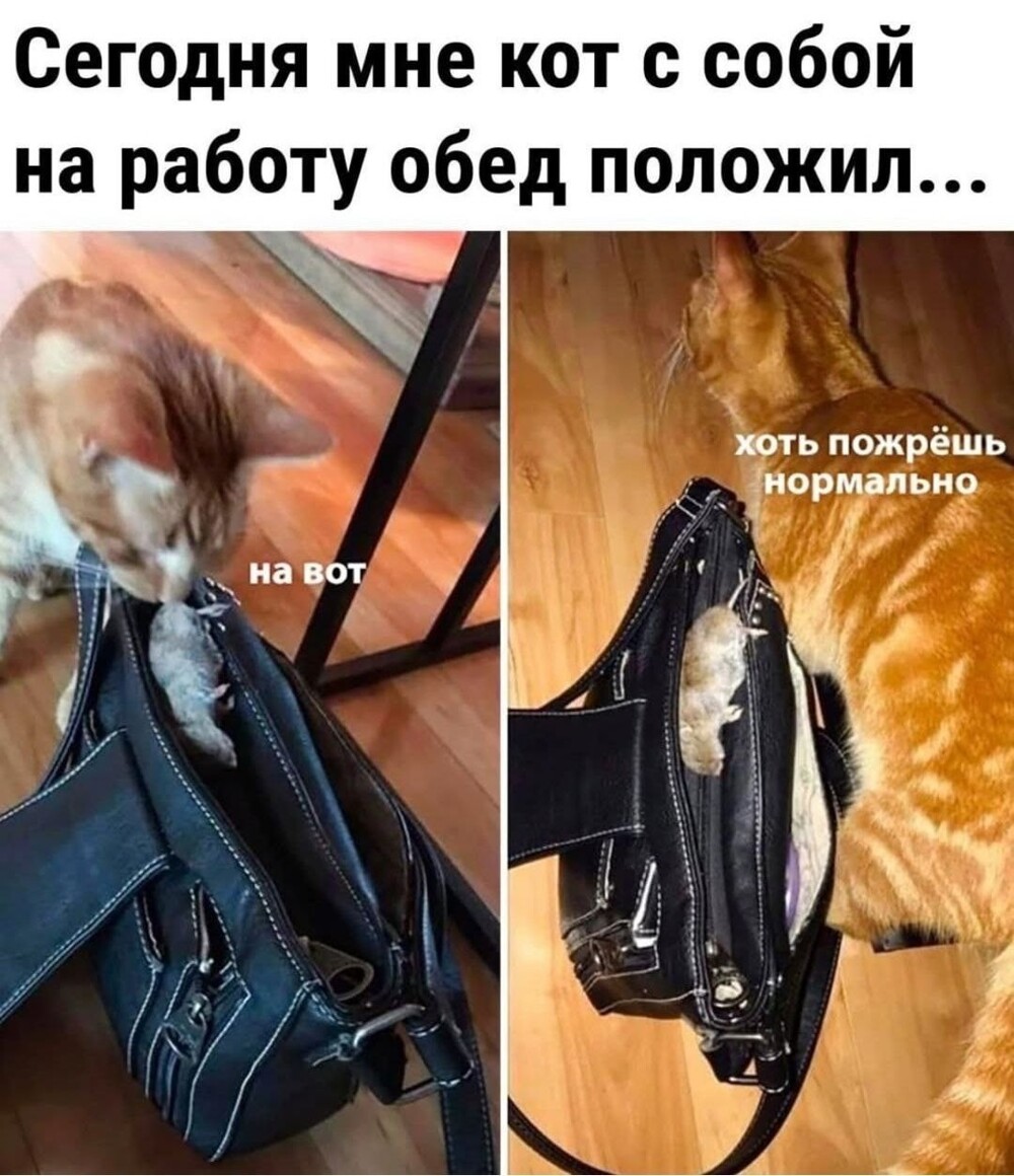 Большая тарелка позитива