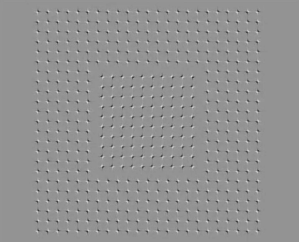 Неужели это реально?