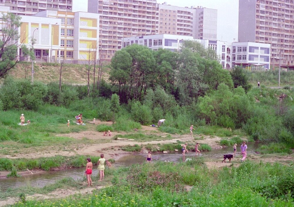 В Северном Бутово всё ещё купаются в реке Битца.