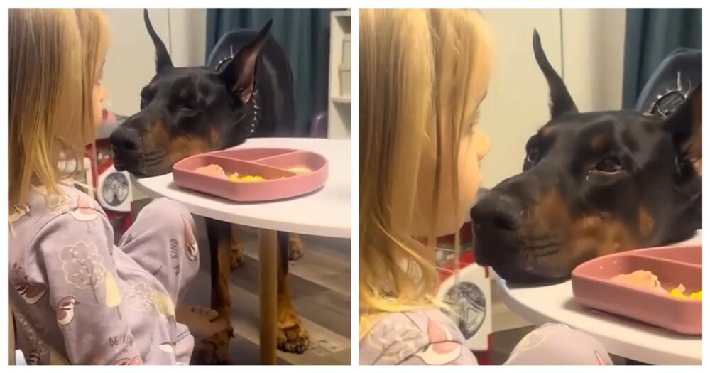 Профессиональный попрошайка за работой