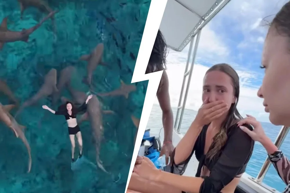 На Мальдивах акула чуть не откусила пальцы девушке