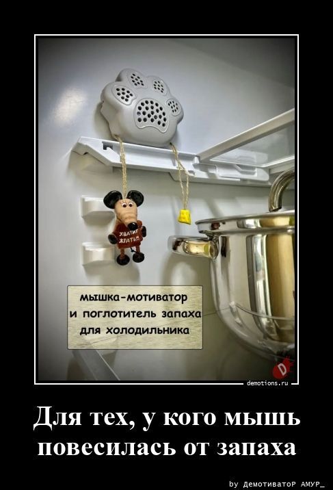 Для тех, у кого мышь повесилась от запаха