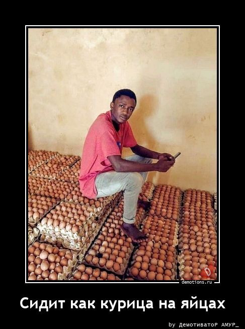 Сидит как курица на яйцах