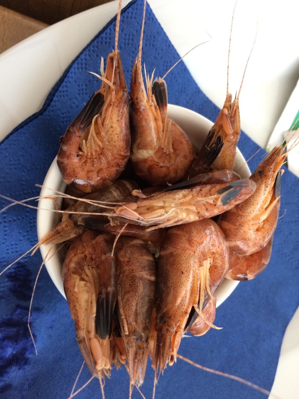 Всадники-креветочники Остдейнкерке