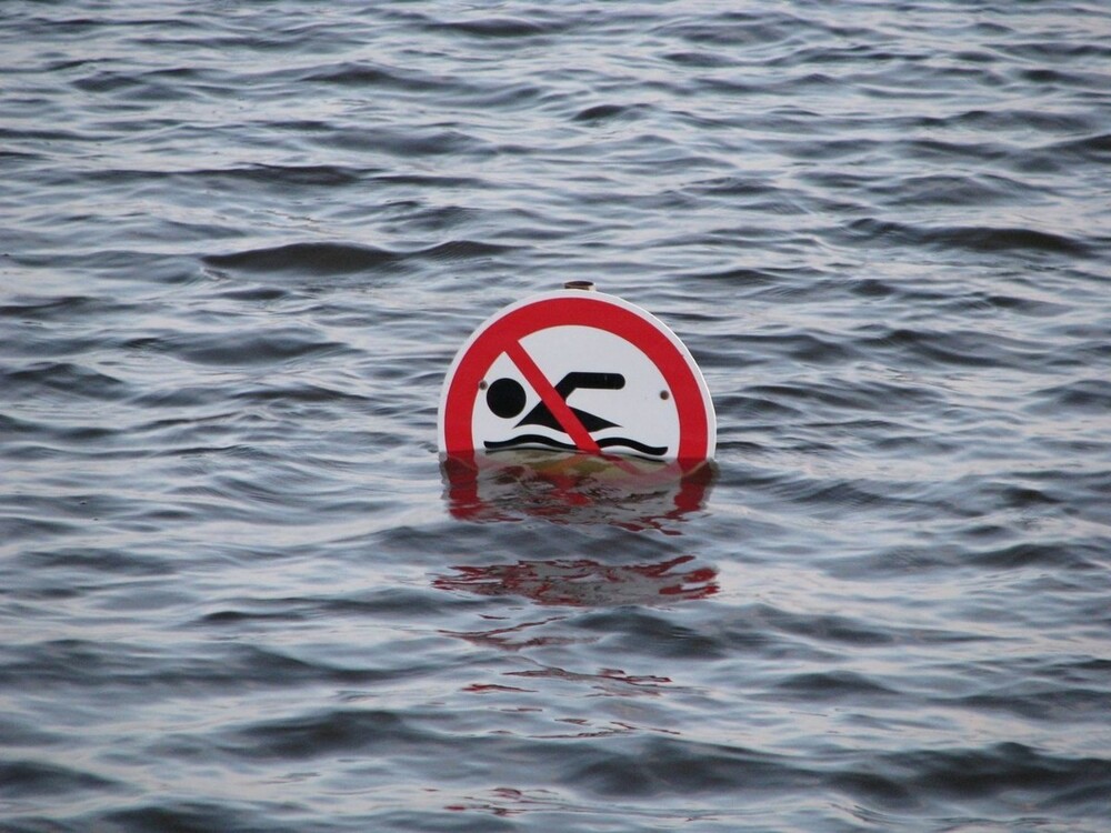 На общую тему 