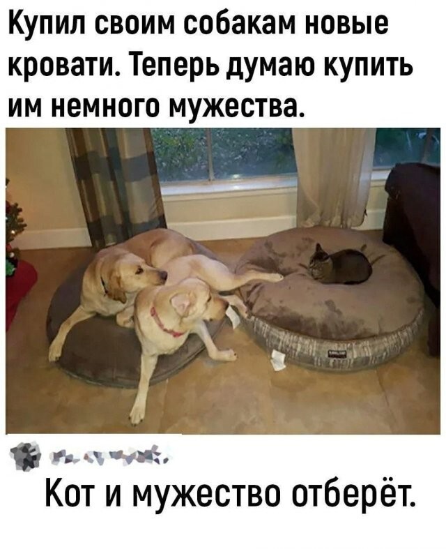 Скрины из соцсетей