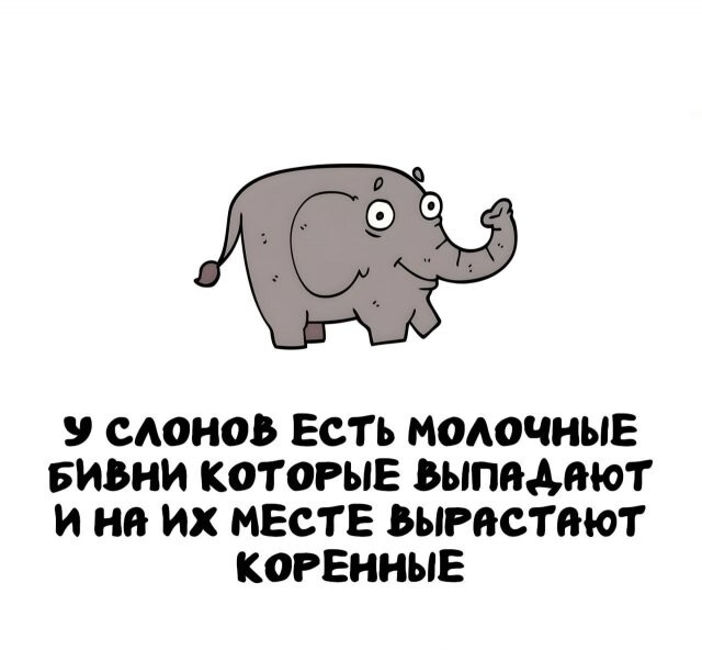 А вдруг ты не знал…