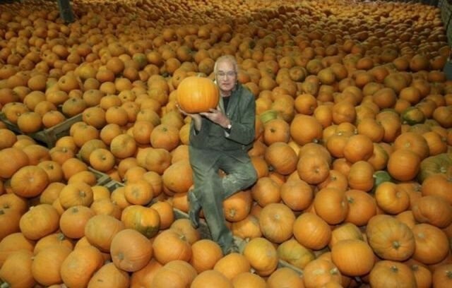 Намешалось 